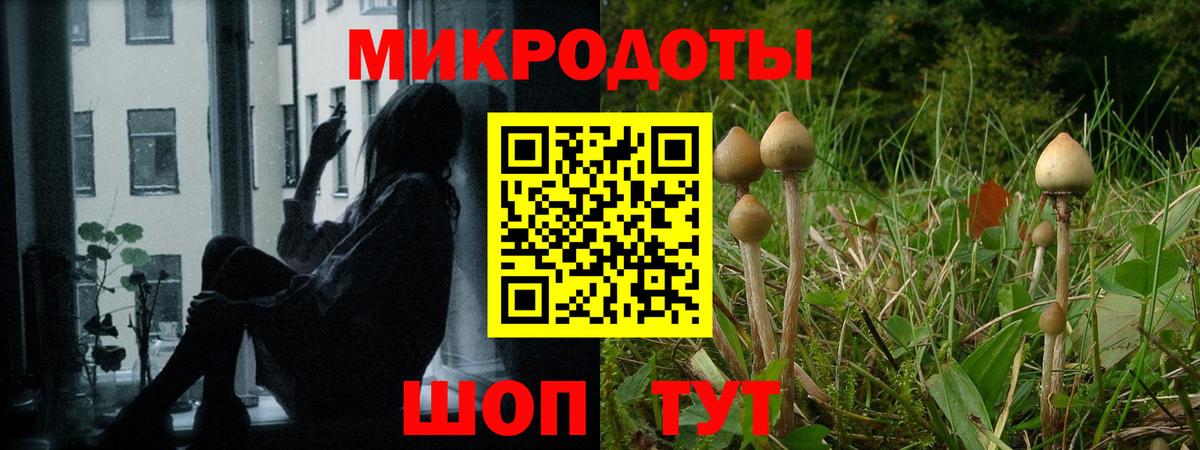 Галлюциногенные грибы MAGIC MUSHROOMS Александров